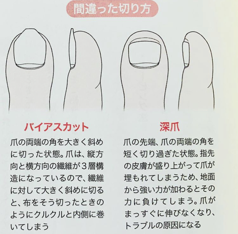 正しい爪の切り方 ひびき整骨院 正しい爪の切り方 ひびき整骨院